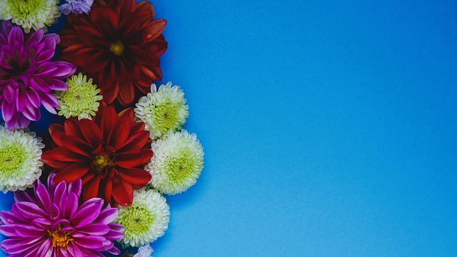 失利则多了 失利则多了