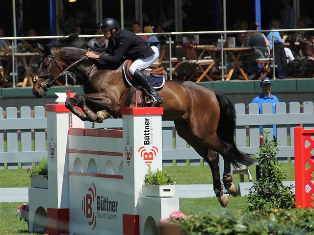 争冠能力 争冠能力