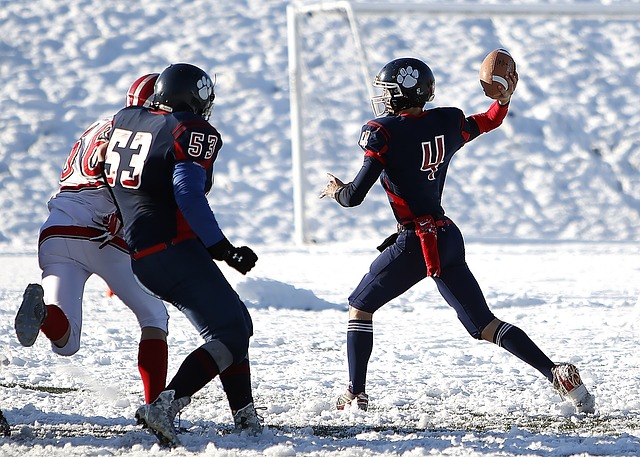 发展的高度 发展的高度