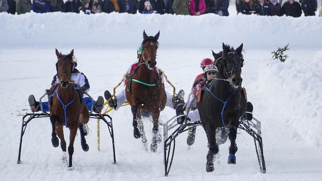 篮球——NBA常规赛：猛龙胜76人.