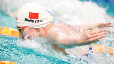 一項關於白 一項關於白