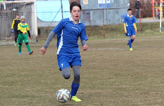 仅带来了进 仅带来了进