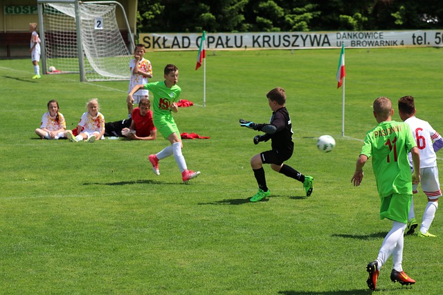 性和适应变 性和适应变