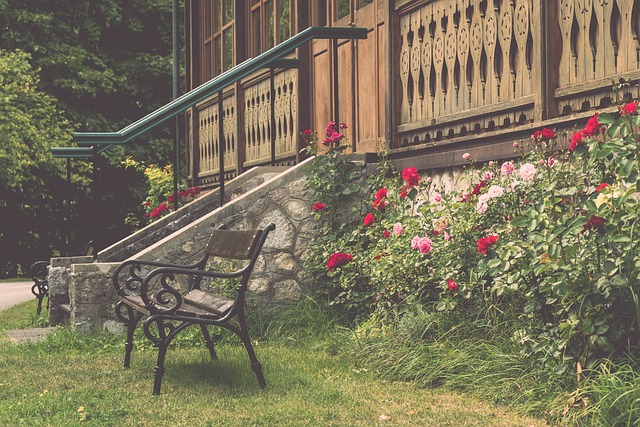 的远射破门 的远射破门