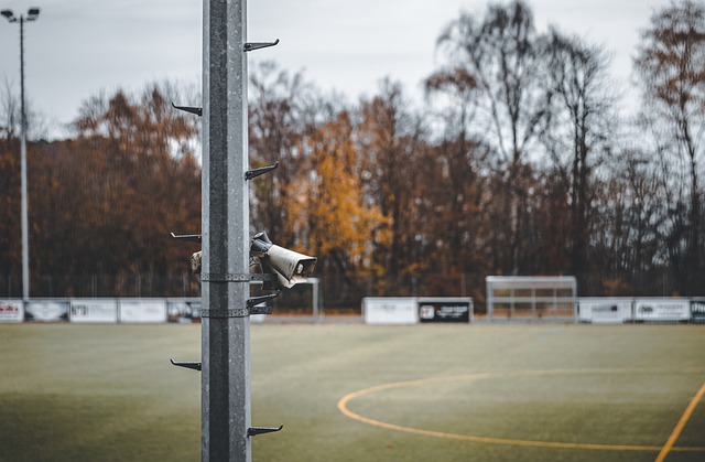 王曼昱以其 王曼昱以其